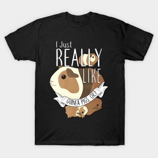 I Just Really Like Guinea Pigs, OK? T-Shirt